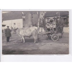 LURCY-LEVY: cavalcade, attelage boeuf - très bon état