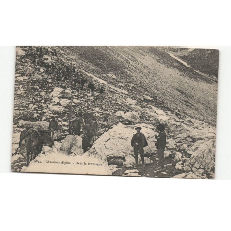 MILITAIRES CHASSEURS ALPINS: dans la montagne - très bon état