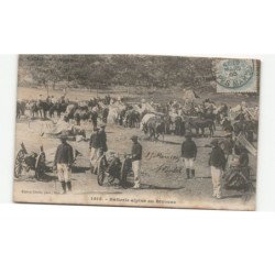 MILITAIRES CHASSEURS ALPINS: batterie alpine au bivouac, canons - très bon état
