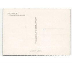REALMONT: vue générale vue aérienne 10x15 - très bon état