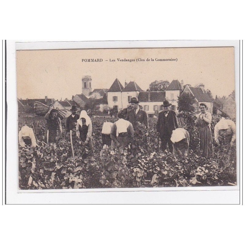 POMMARD : les vendanges (clos de la commoraine) - tres bon etat