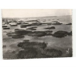 GRAND-LIEU: lac vue aérienne 10x15 - état