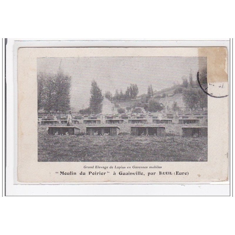 GUAINVILLE : grand elevage de lapins en garennes mobiles, moulin du poirier - etat