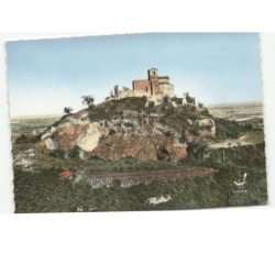 SAINT-ROMAIN-le-PUY: le pic vue aérienne 10x15 - très bon état