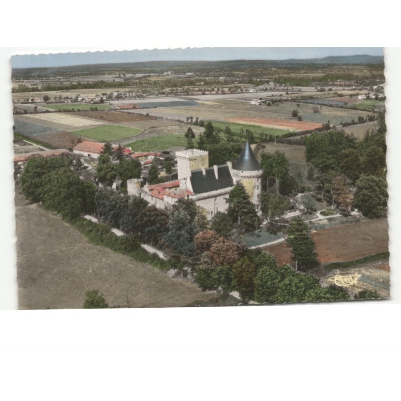 environs de ROANNE: château de boissy vue aérienne 10x15 - très bon état