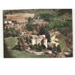 LE CHEYLARD: château de la cheze vue aérienne 10x15 - très bon état