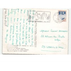 GERBIER-de-JONC: vue aérienne 10x15 - très bon état
