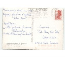 CHATEAUNEUF-la-FORET: sanatorium de bellegarde-les-fleurs vue aérienne 10x15 - très bon état
