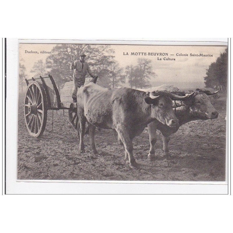 LA MOTTE-BEUVRON : colonie saint-maurice, la culture - tres bon etat