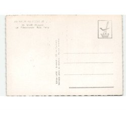 SAINT-DIE: le préventorium abel ferry vue aérienne 10x15 - très bon état