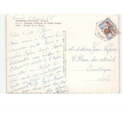 DOMREMY-la-PUCELLE: basilique nationale de sainte-jeanne-d'arc vue aérienne 10x15 - très bon état
