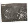 LAIFOUR: la boucle de laifour anchamps au fond revin vue aérienne 10x15 - très bon état