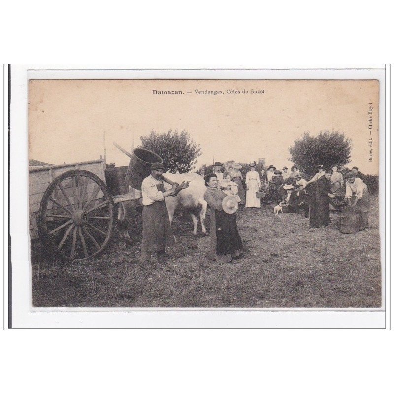 DAMAZAN : vendanges, cotes de buzet - tres bon etat