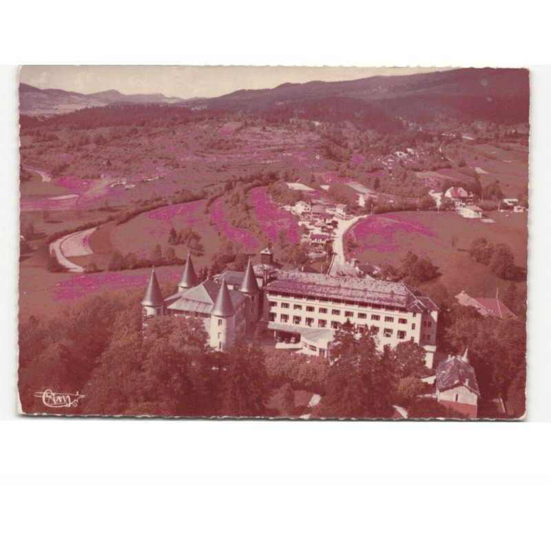HAUTEVILLE-LOMPNES: château d'angeville vue aérienne 10x15 - très bon état