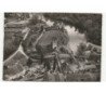 PUYOO: ruines du château de jeanne d'albret et le gave de pau vue aérienne 10x15 - très bon état