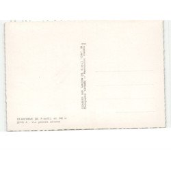 SAINT-ANTHEME: vue générale vue aérienne 10x15 - très bon état