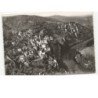 SAINT-CIRQ LAPOPIE: l'un des plus curieux et des plus beaux paysages de france vue aérienne 10x15 - très bon état