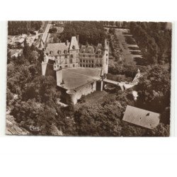 SAINT-BRISSON: le château dans son nid de verdure vue aérienne 10x15 - très bon état