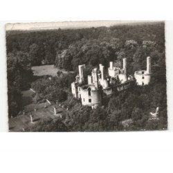 RANDAN: le château vue aérienne 10x15 - état