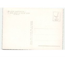 SAINT-AMANT-de-ROCHE-SAVINE: vue aérienne 10x15 - très bon état