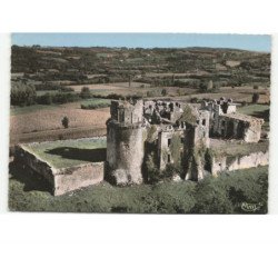 BIDACHE: château des ducs de gramont XIe siècle vue aérienne 10x15 - très bon état