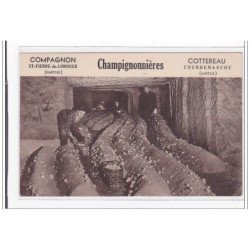 St-PIERRE-du-LOROUER : compagnon, champignonnieres - tres bon etat