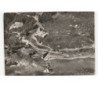 COURETTE: la station vue aérienne 10x15 - très bon état