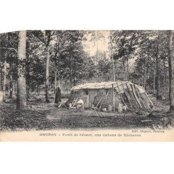 BRUNOY - Forêt de Sénart - Une Cabane de Bûcheron - très bon état