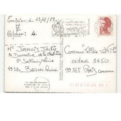 CHAMBELLAY: le bois montbourcher vue aérienne 10x15 - très bon état