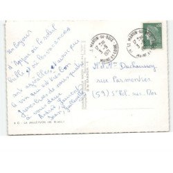 LA JAILLE-YVON: vue aérienne 10x15 - très bon état