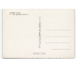 GANNAT: vue générale vue aérienne 10x15 - très bon état