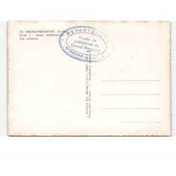 LE GRAND-PRESSIGNY: musée préhistorique vue aérienne 10X15 - très bon état