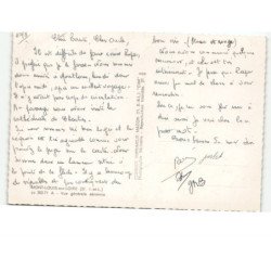 MONT-LOUIS-sur-LOIRE: vue générale vue aérienne 10X15 - très bon état