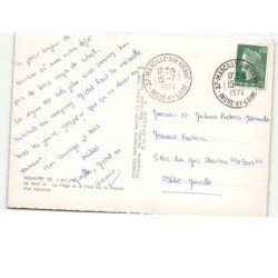 NOUATRE: la plage et le pont sur la vienne vue aérienne 10X15 - très bon état