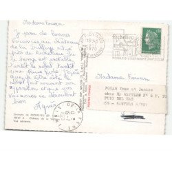 environs de RICHELIEU: château de la vrillaye vue aérienne 10X15 - très bon état