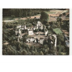 environs de CHATEAU-la-VALLIERE: ruines du château de vaujours vue aérienne 10X15 - très bon état