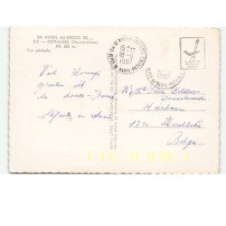 ESPINASSES: vue générale vue aérienne 10X15 - très bon état