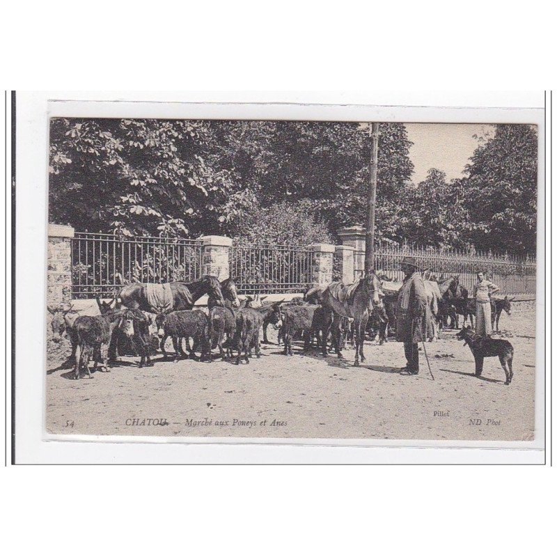 CHATOU : marché aux poneys et anes - tres bon etat