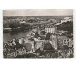 AMBOISE: le château et ses jardins vue aérienne 10X15 - très bon état