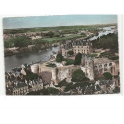 AMBOISE: le château et ses jardins vue aérienne 10X15 - très bon état