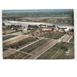 MONTLOUIS: la loire vue aérienne 10X15 - très bon état