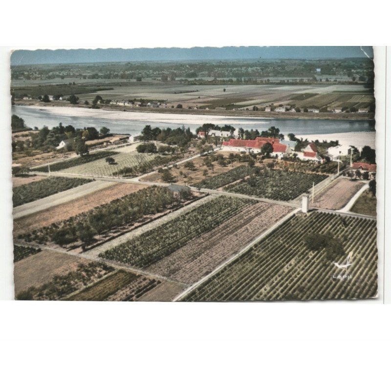 MONTLOUIS: la loire vue aérienne 10X15 - très bon état