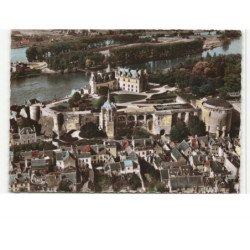 AMBOISE: le château la terrasse et la chapelle saint-hubert vue aérienne 10X15 - très bon état