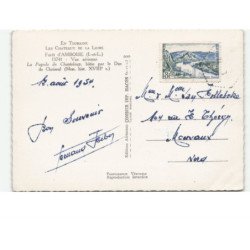 AMBOISE: les châteaux de la loire, forêt, la pagode de chanteloup vue aérienne 10X15 - très bon état