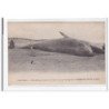 BARRE-de-MONT : une baleine .. a ete rejeté par la mer le 28 mars 1919 sur la plage de la barre-de-monts - tres bon etat