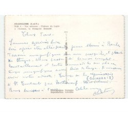 SAINT-COULOMB: château du lupin à l'horizon, la presqu'ile besnard vue aérienne 10X15 - très bon état