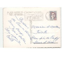 DUINGT: hôtel "des libellules" vue aérienne 10x15 - très bon état