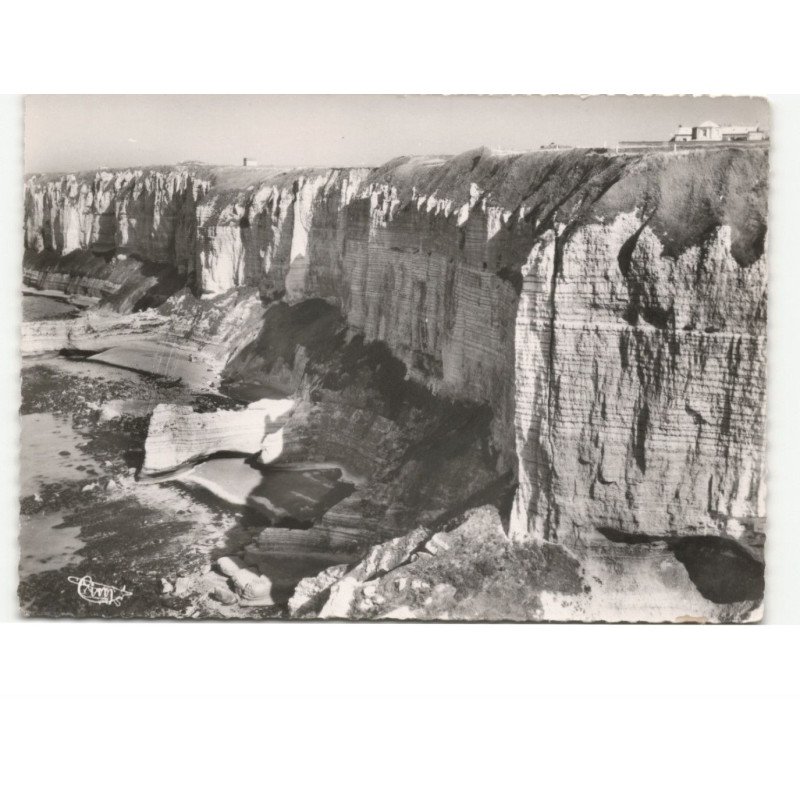 FECAMP: les falaises, la porte au roi la porte à la reine vue aérienne 10x15 - très bon état