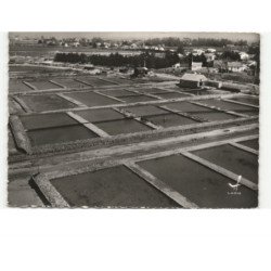 FROMENTINE: les dégorgeoirs à huîtres vue aérienne 10x15 - état
