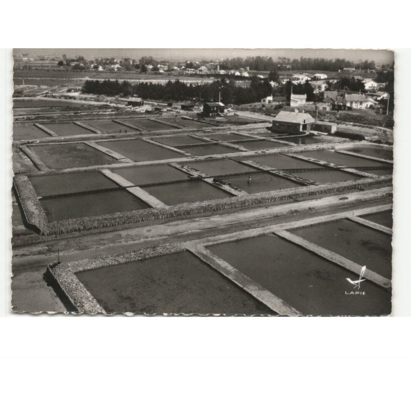 FROMENTINE: les dégorgeoirs à huîtres vue aérienne 10x15 - état